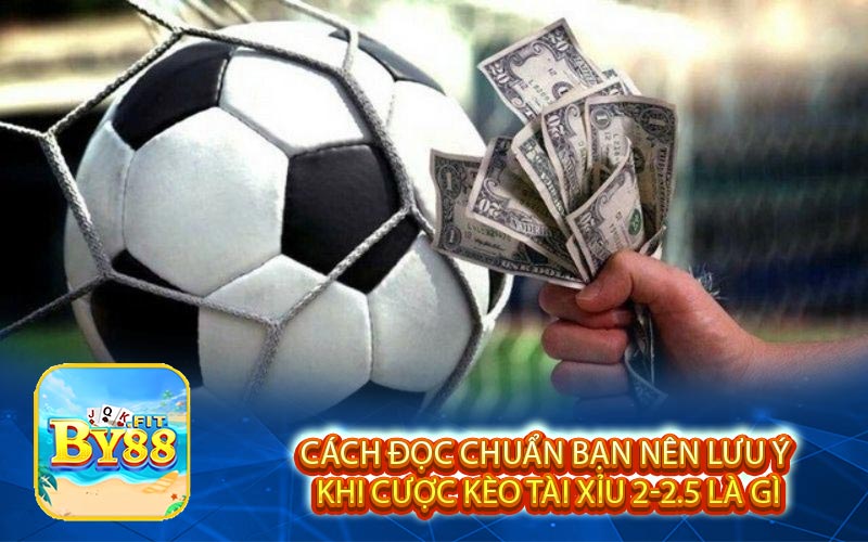 Cach doc chuan ban nen luu y khi cuoc keo tai xiu 2 2 5 la gi